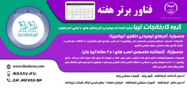 فناوران پارک علم و فناوری کرمانشاه؛ اولین تولیدکننده &quot;آجرهای لیسیدنی گرد&quot; در کشور